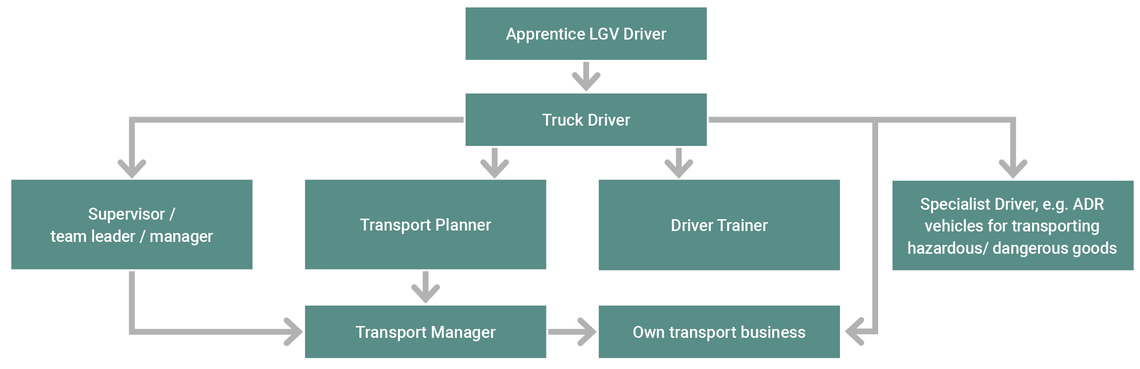 Truck driver career progression options flow chart