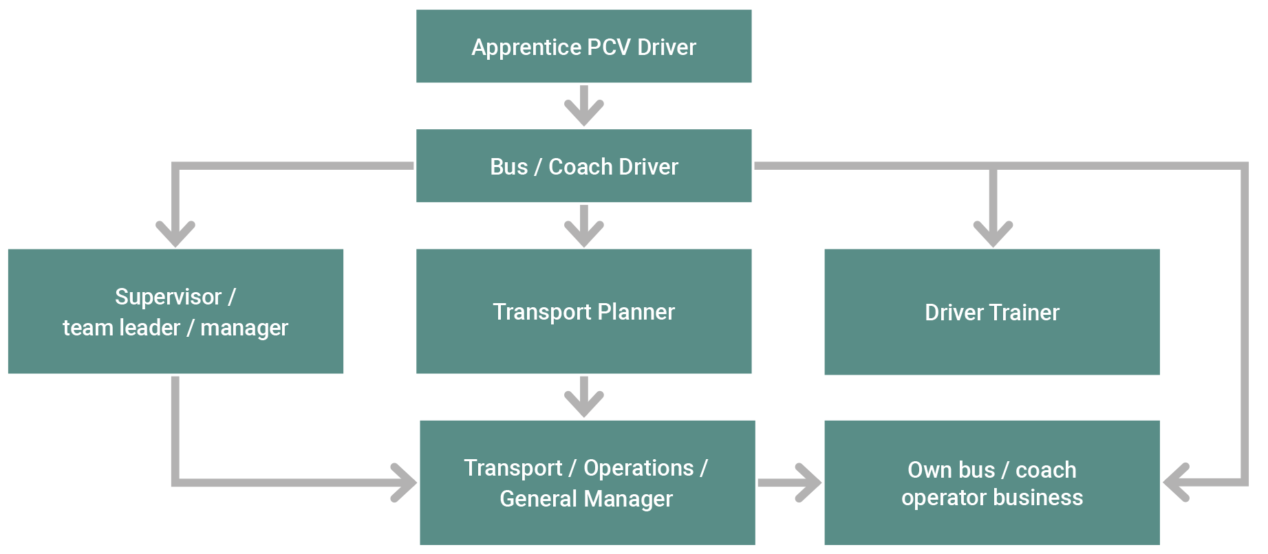 Bus or coach driver career progression options flow chart